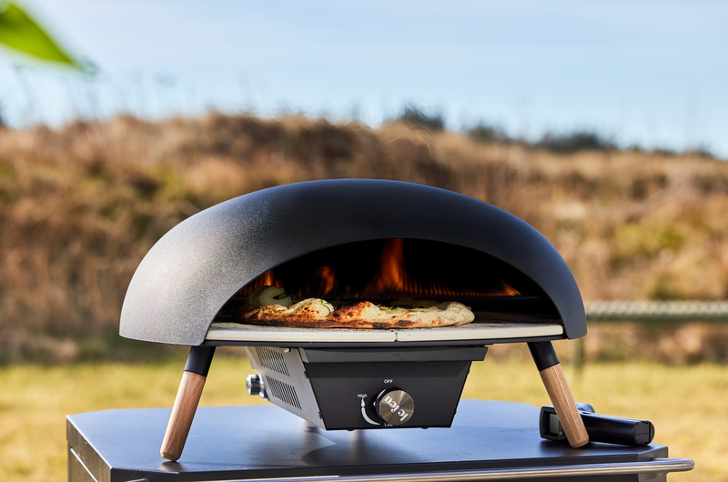 Turtle Gas Powered Pizza Oven - Le Feu - Fire Pits + Grills - HORNE