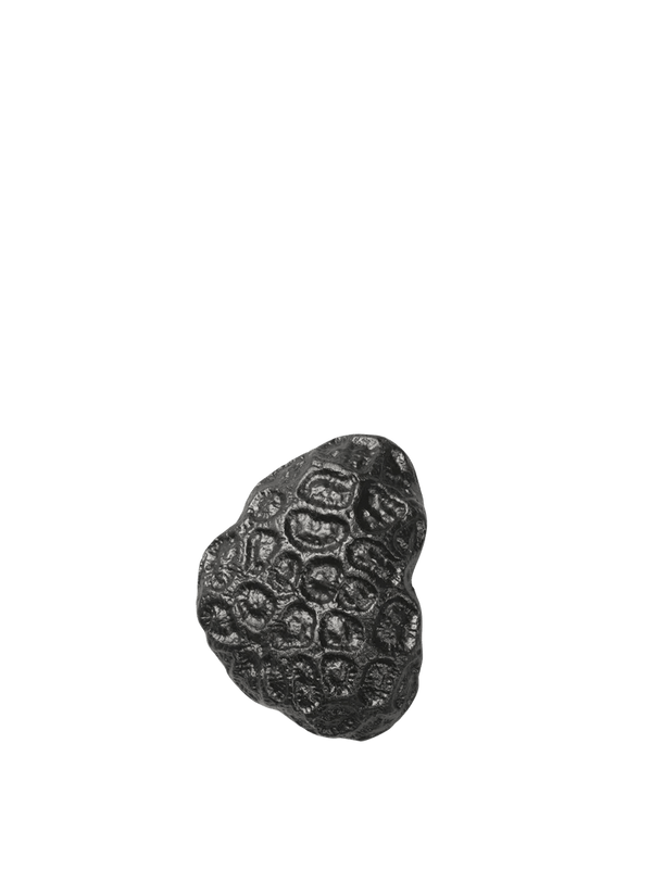 Comber Coral Hook - Ferm Living Hangers & Hooks - Blackened Aluminum - HORNE