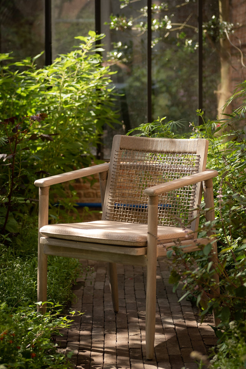 David Dining Armchair - Vincent Sheppard Chairs - HORNE