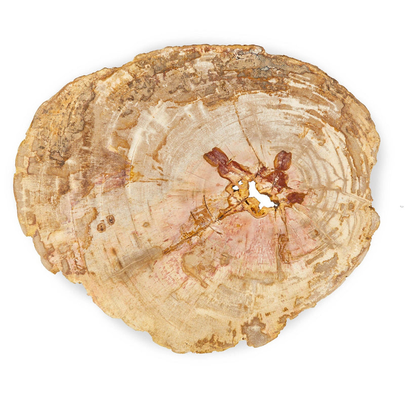 Eliza End Table - Urbia Tables - Natural Dark - Polished Stainless Steel - HORNE