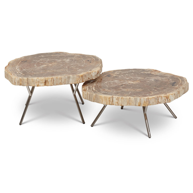 Lastra Coffee Table - Set of 2 - Urbia Coffee Tables - Natural Dark - Polished Stainless Steel - HORNE