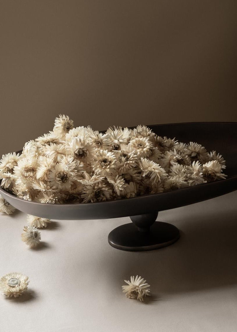 Pavot Centerpiece - Audo Copenhagen Serveware - HORNE