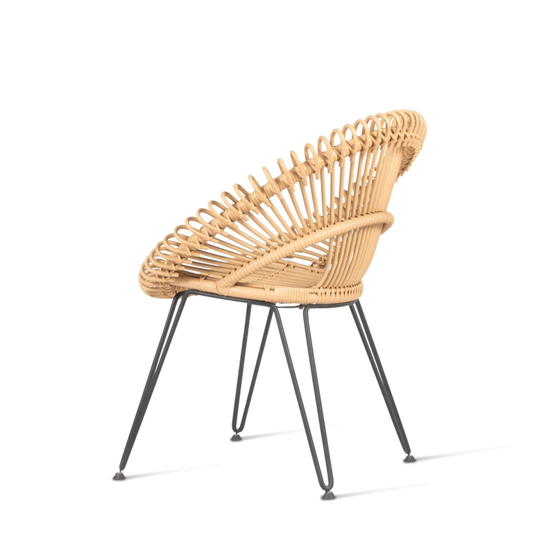 Roxy Dining Chair - Vincent Sheppard Chairs - Black - HORNE