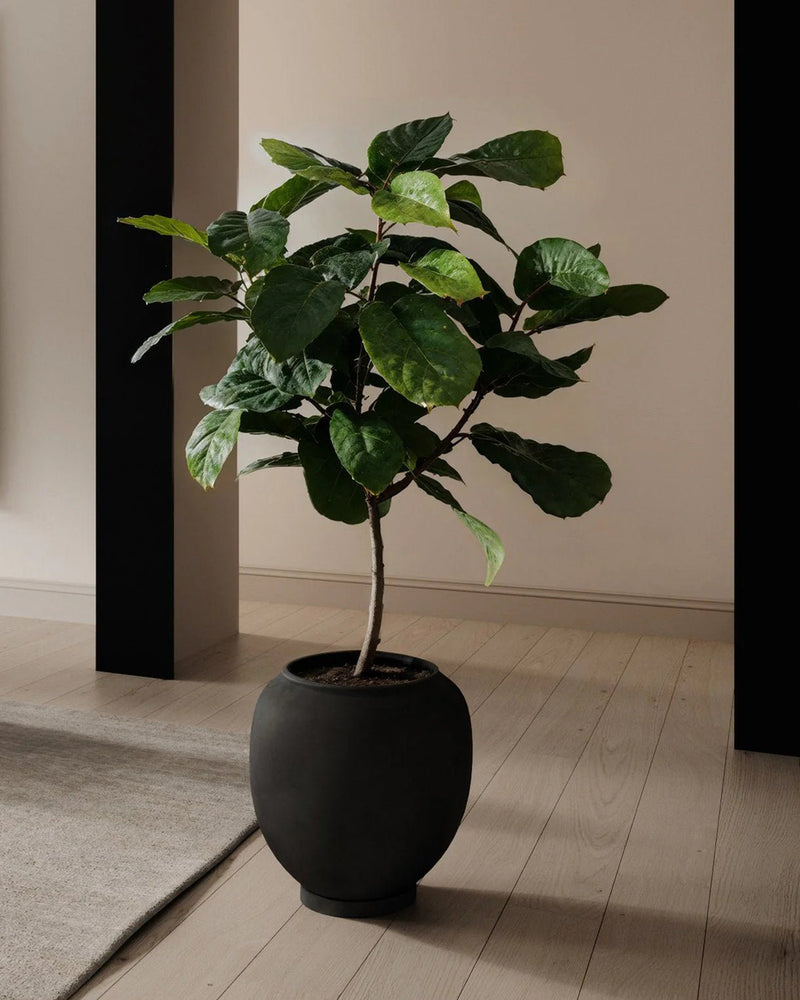 Sunao Plant Pot - 101 Copenhagen Vases - Birch - HORNE