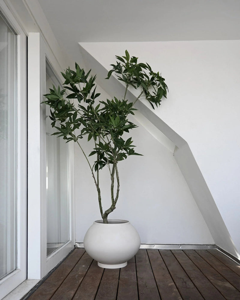 Sunao Plant Pot Fat - 101 Copenhagen Vases - Birch - HORNE