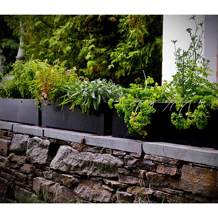 8 Gallon Rectangle Planter - Loll Designs - Outdoor Accessories - Black - HORNE