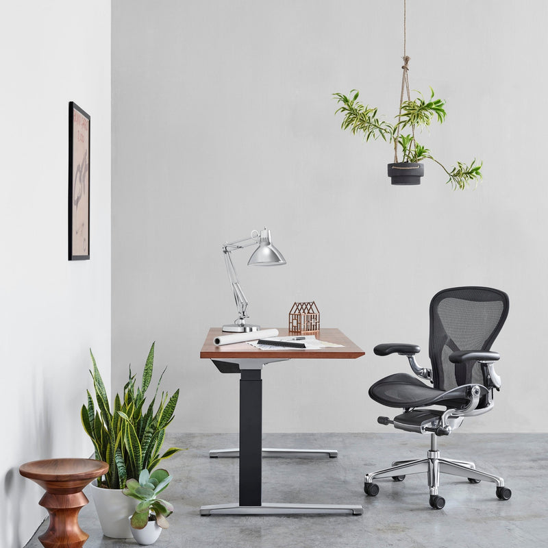 Aeron™ Chair - Herman Miller® - Chairs - Size A - Small - Graphite - HORNE