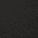 Sierra Leather - Black 1001