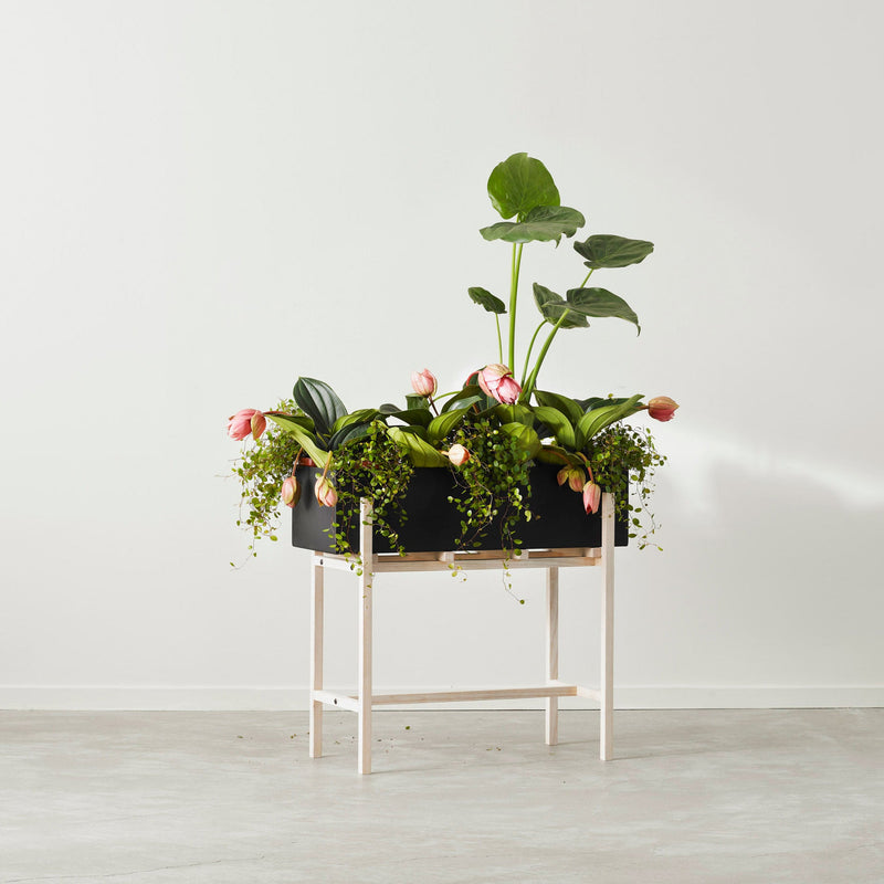 Botanic Stand - Design House Stockholm - Planters - HORNE