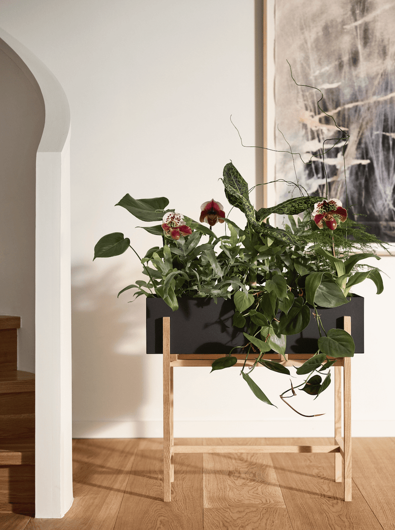 Botanic Stand - Design House Stockholm - Planters - HORNE