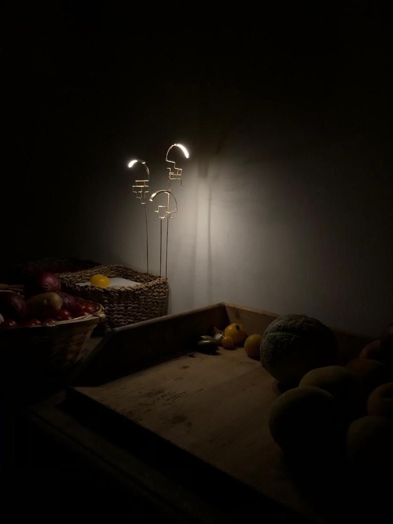 Boucle Table Lamp - DCW Editions - Table + Task - HORNE