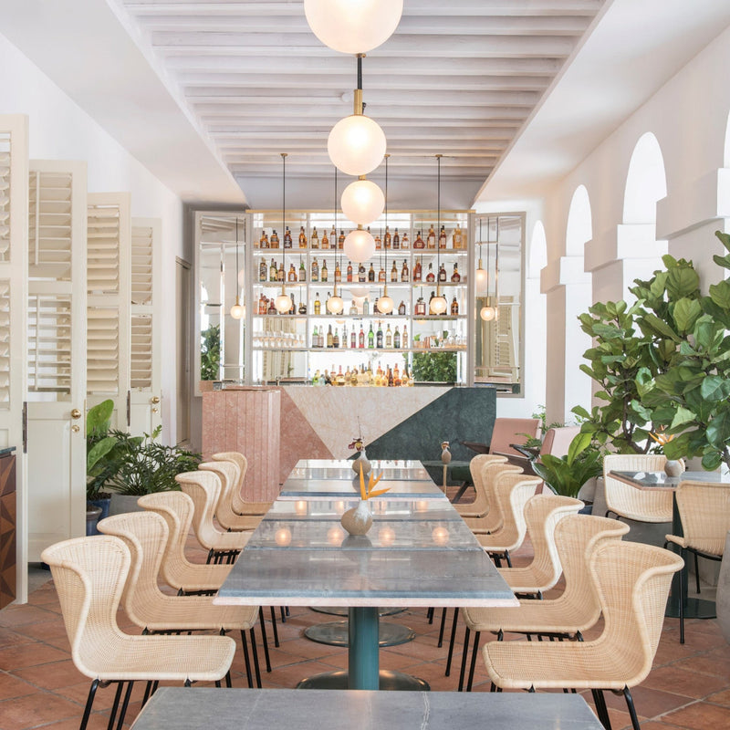 C603 Rattan Dining Chair - Feelgood Designs - Chairs - Natural - HORNE