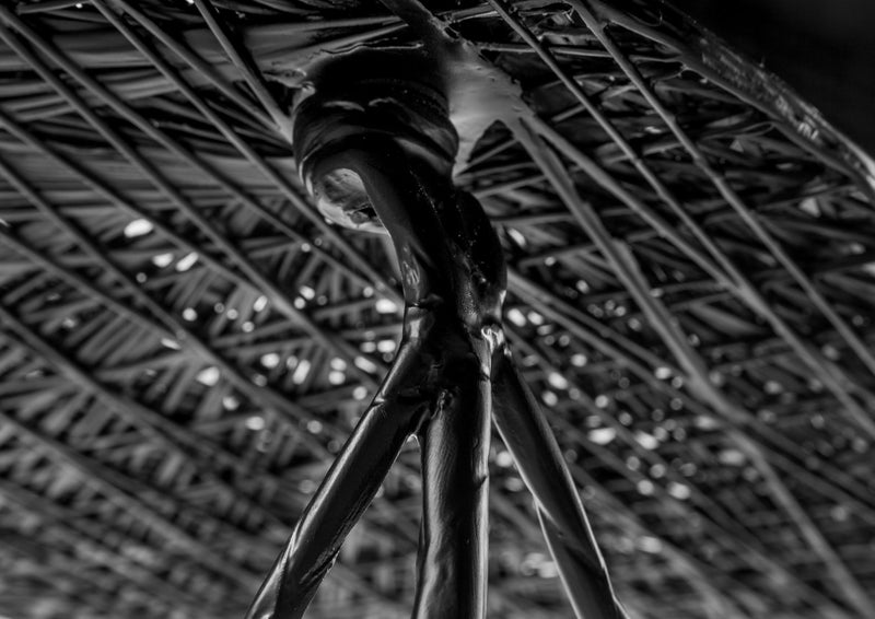 Carbon Bar Stool - Moooi - Stools + Benches + Ottomans - High - HORNE