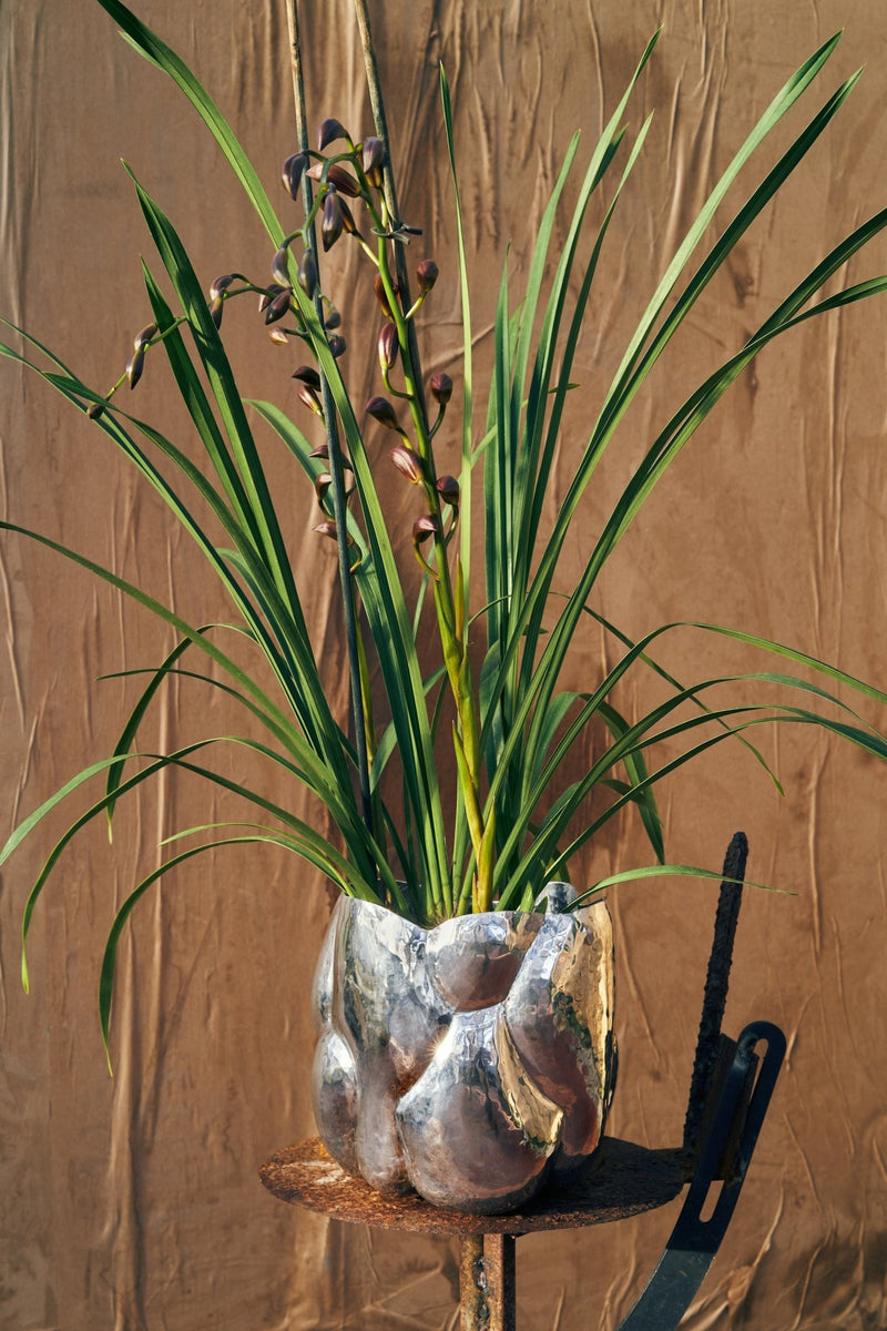 Cloud Vessel - Tom Dixon - Art + Objects - Short - HORNE