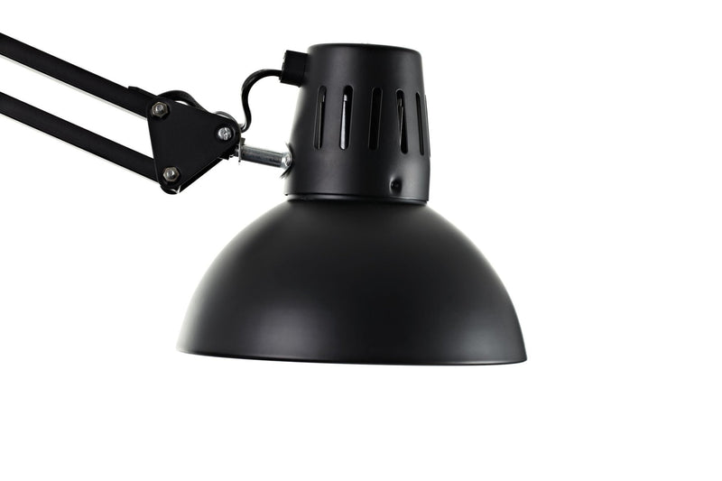 Dear Ingo Chandelier - Moooi - Chandeliers - Black - HORNE