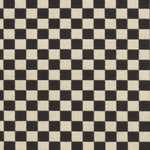 Black/White Checker