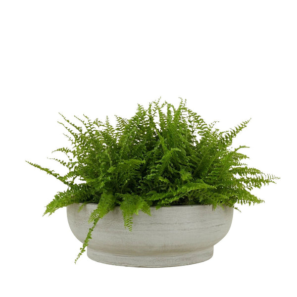 Footed Bowl Planter - Large - Hawkins New York - Planters - Fiber Cement - HORNE