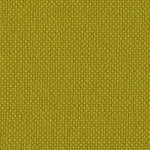 Wool - Mustard Volt