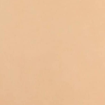 Add Tan Leather Strap