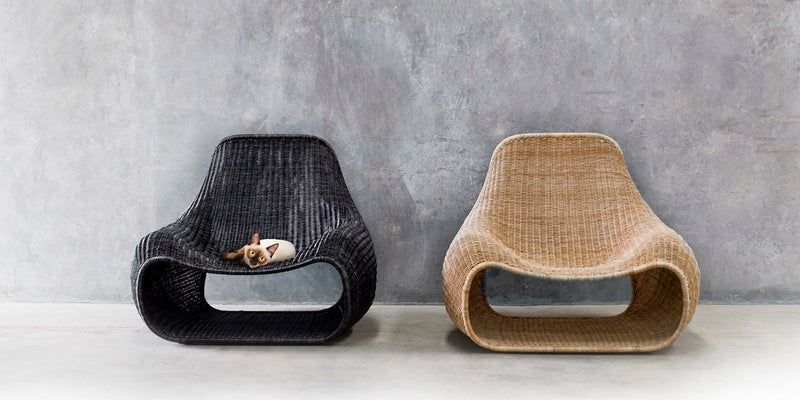 Snug Rattan Lounge Chair - Feelgood Designs - Chairs - Natural - HORNE