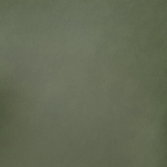 Challenger Pine Green